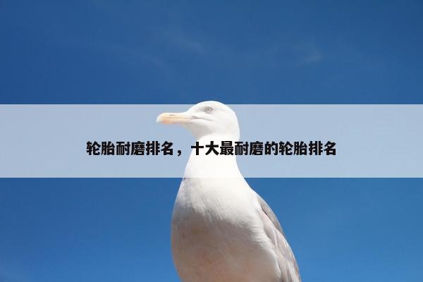 轮胎耐磨排名，十大最耐磨的轮胎排名
