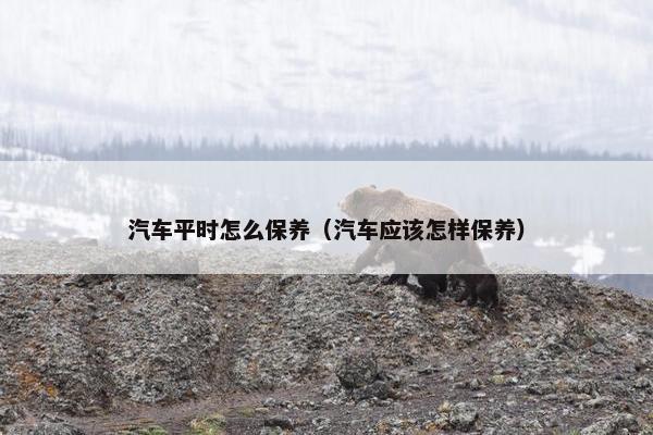 汽车平时怎么保养（汽车应该怎样保养）