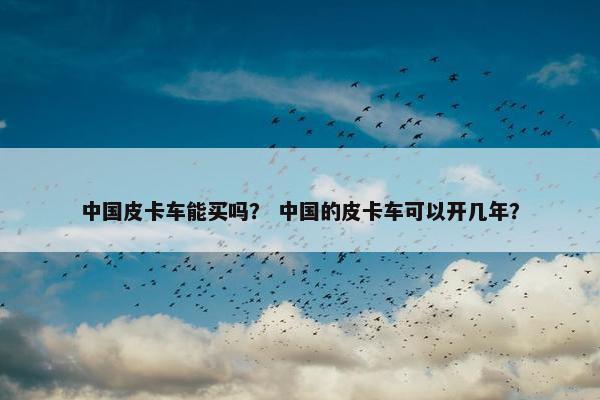 中国皮卡车能买吗？ 中国的皮卡车可以开几年？
