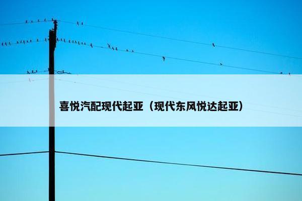 喜悦汽配现代起亚（现代东风悦达起亚）