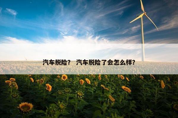 汽车脱险？ 汽车脱险了会怎么样？