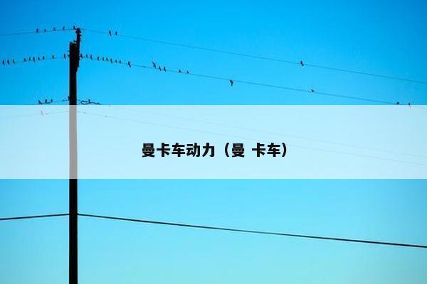 曼卡车动力（曼 卡车）