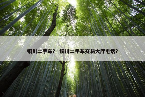 铜川二手车？ 铜川二手车交易大厅电话？