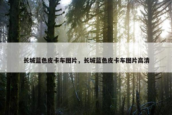 长城蓝色皮卡车图片，长城蓝色皮卡车图片高清