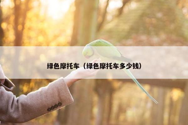 绿色摩托车（绿色摩托车多少钱）