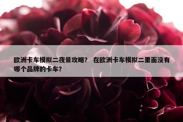 欧洲卡车模拟二夜景攻略？ 在欧洲卡车模拟二里面没有哪个品牌的卡车？