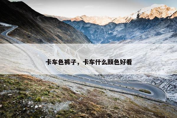 卡车色裤子，卡车什么颜色好看