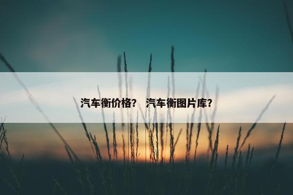 汽车衡价格？ 汽车衡图片库？