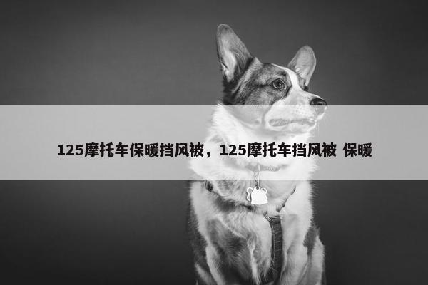 125摩托车保暖挡风被，125摩托车挡风被 保暖