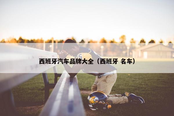 西班牙汽车品牌大全（西班牙 名车）