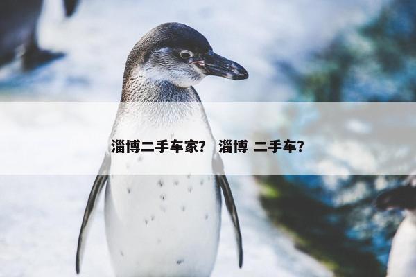 淄博二手车家？ 淄博 二手车？