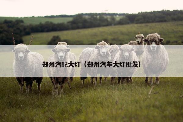 郑州汽配大灯（郑州汽车大灯批发）