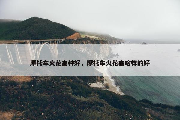 摩托车火花塞种好，摩托车火花塞啥样的好