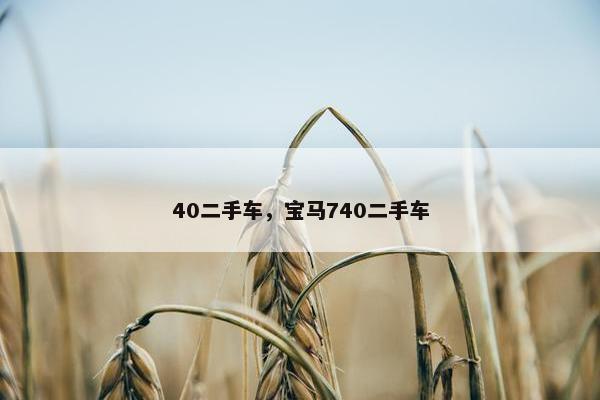 40二手车，宝马740二手车