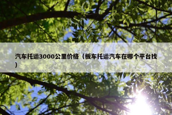 汽车托运3000公里价格（板车托运汽车在哪个平台找）