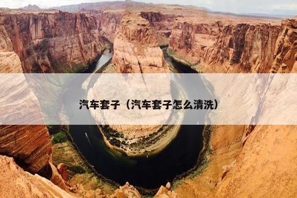 汽车套子（汽车套子怎么清洗）