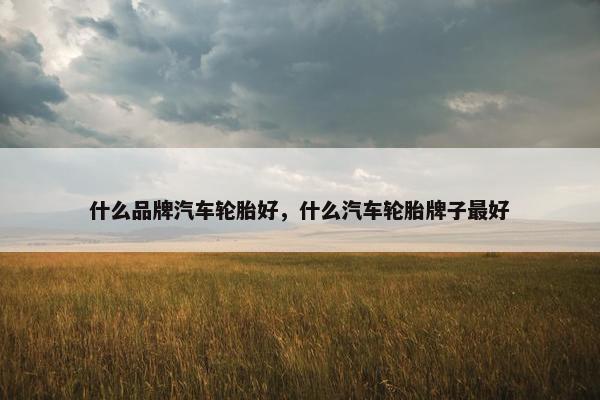 什么品牌汽车轮胎好，什么汽车轮胎牌子最好