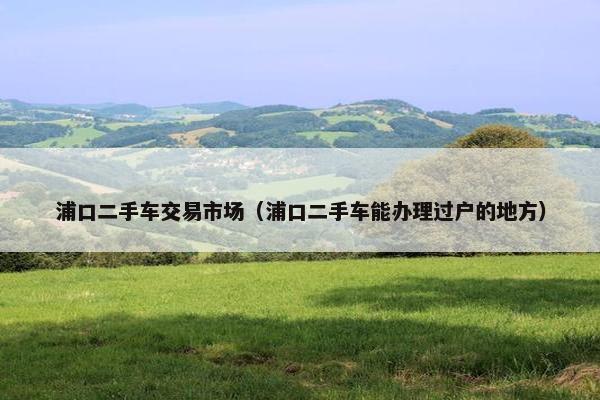 浦口二手车交易市场（浦口二手车能办理过户的地方）