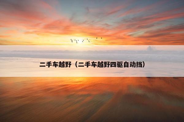 二手车越野（二手车越野四驱自动挡）