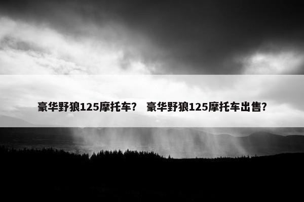 豪华野狼125摩托车？ 豪华野狼125摩托车出售？