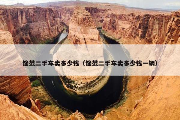 锋范二手车卖多少钱（锋范二手车卖多少钱一辆）