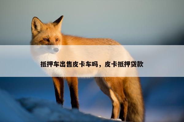抵押车出售皮卡车吗，皮卡抵押贷款