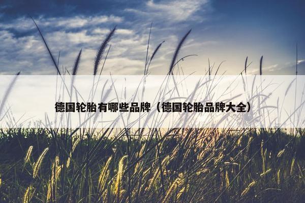 德国轮胎有哪些品牌（德国轮胎品牌大全）