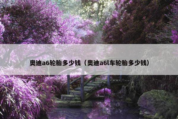 奥迪a6轮胎多少钱（奥迪a6l车轮胎多少钱）