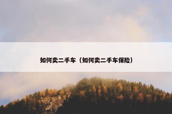 如何卖二手车（如何卖二手车保险）