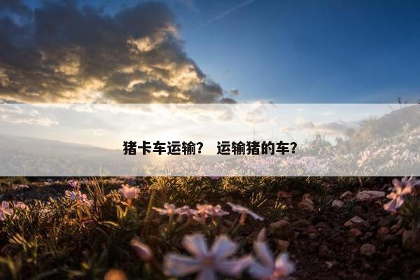 猪卡车运输？ 运输猪的车？