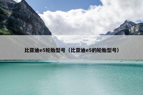 比亚迪e5轮胎型号（比亚迪e5的轮胎型号）