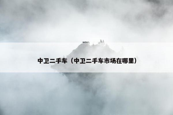 中卫二手车（中卫二手车市场在哪里）