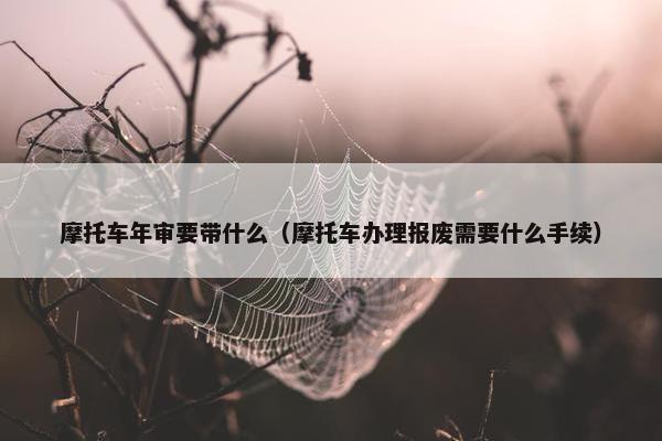 摩托车年审要带什么（摩托车办理报废需要什么手续）