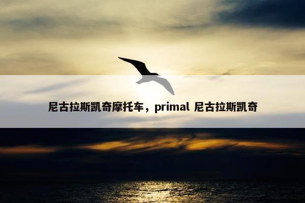 尼古拉斯凯奇摩托车，primal 尼古拉斯凯奇