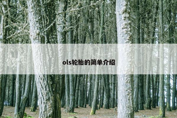 ols轮胎的简单介绍