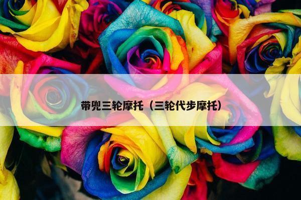 带兜三轮摩托（三轮代步摩托）