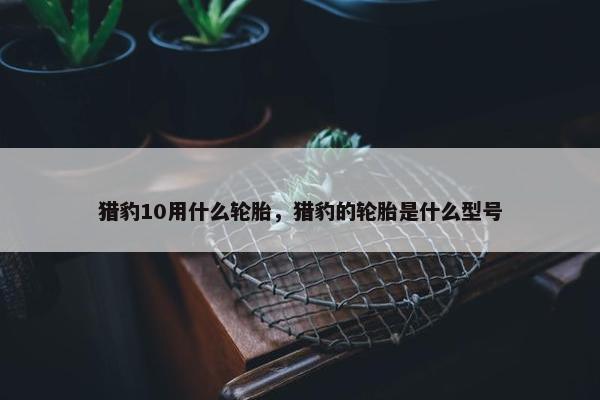 猎豹10用什么轮胎，猎豹的轮胎是什么型号