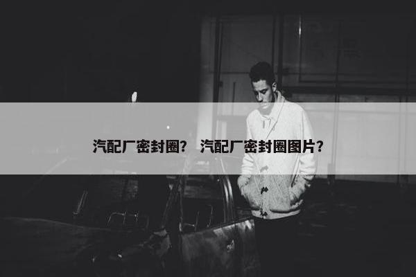 汽配厂密封圈？ 汽配厂密封圈图片？