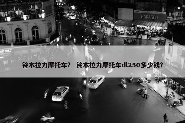 铃木拉力摩托车？ 铃木拉力摩托车dl250多少钱？