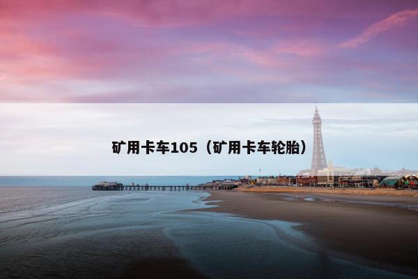 矿用卡车105（矿用卡车轮胎）