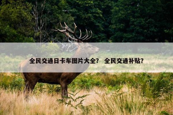 全民交通日卡车图片大全？ 全民交通补贴？