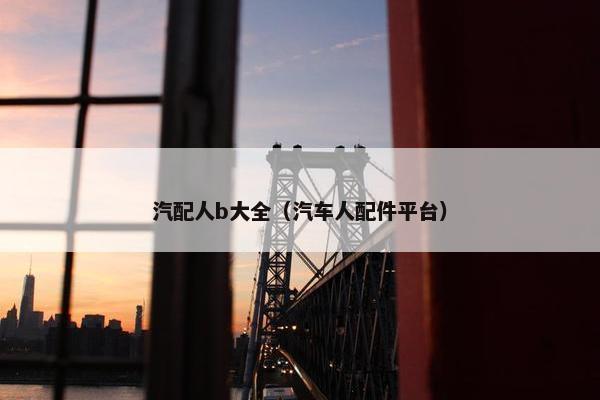 汽配人b大全（汽车人配件平台）