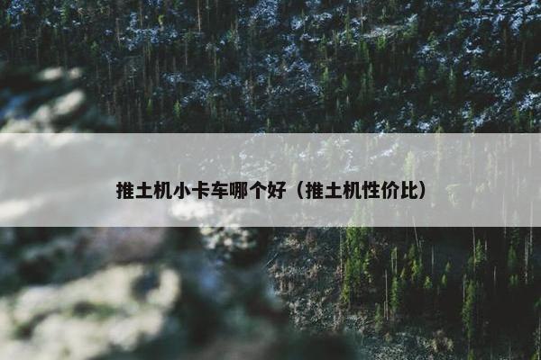 推土机小卡车哪个好（推土机性价比）