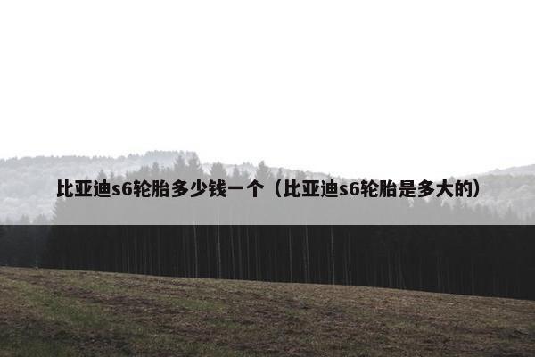 比亚迪s6轮胎多少钱一个（比亚迪s6轮胎是多大的）