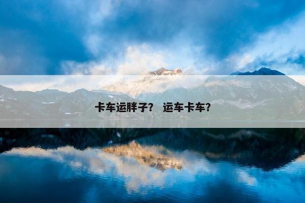 卡车运胖子？ 运车卡车？