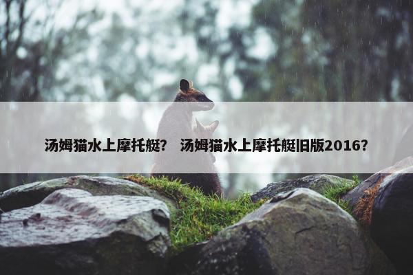 汤姆猫水上摩托艇？ 汤姆猫水上摩托艇旧版2016？
