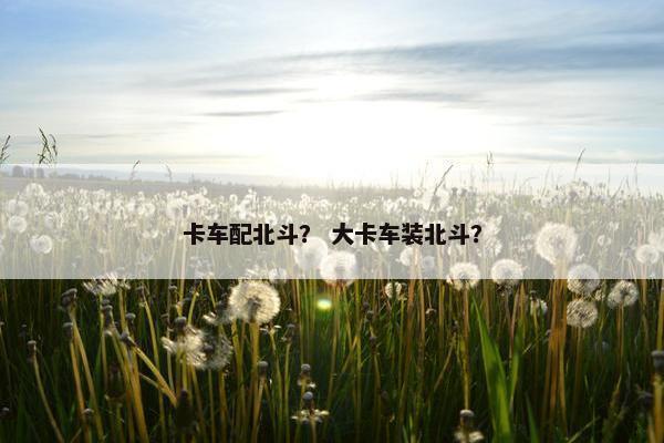 卡车配北斗？ 大卡车装北斗？
