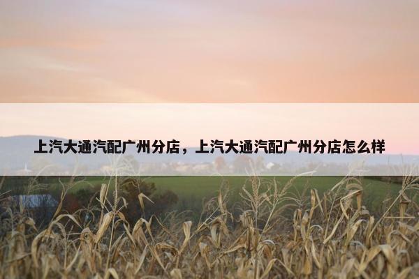 上汽大通汽配广州分店，上汽大通汽配广州分店怎么样