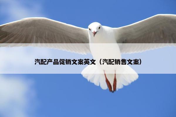 汽配产品促销文案英文（汽配销售文案）