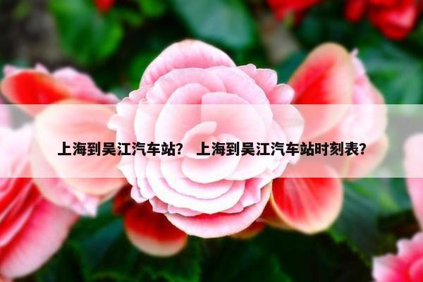 上海到吴江汽车站？ 上海到吴江汽车站时刻表？